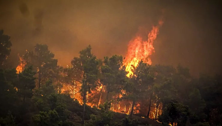 Yunanistan’da orman yangınlarına müdahale eden uçak düştü